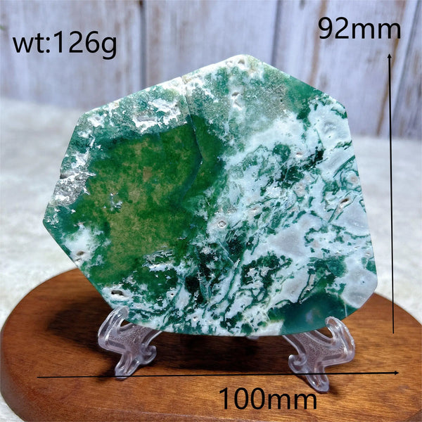 Green Moss Agate Slice-ToShay.org