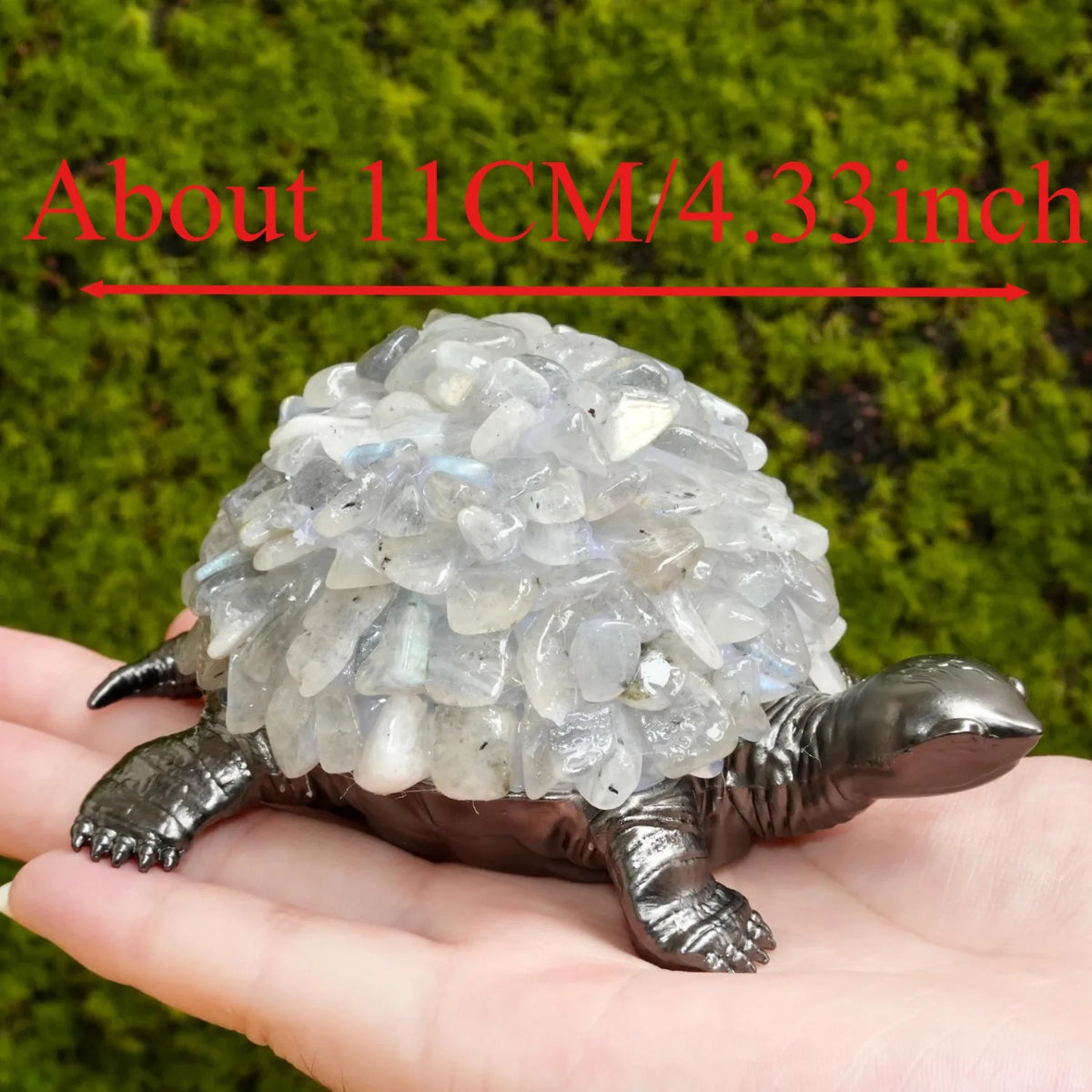 Mixed Crystal Turtles-ToShay.org