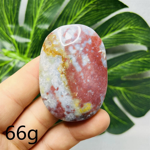 Sea Jasper Palm Stone-ToShay.org