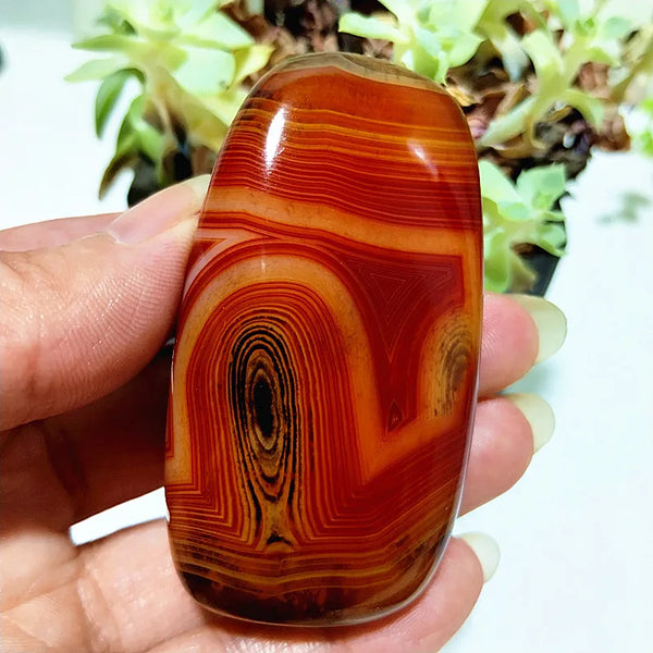 Red Lace Sardonyx Agate-ToShay.org