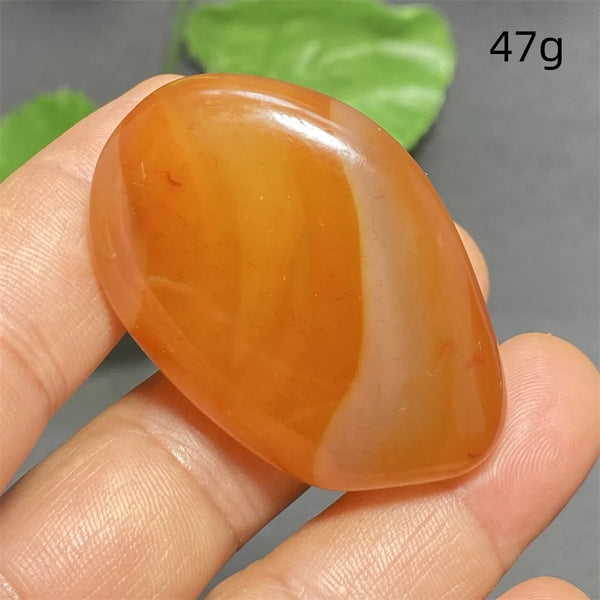 Orange Silk Lace Agate-ToShay.org