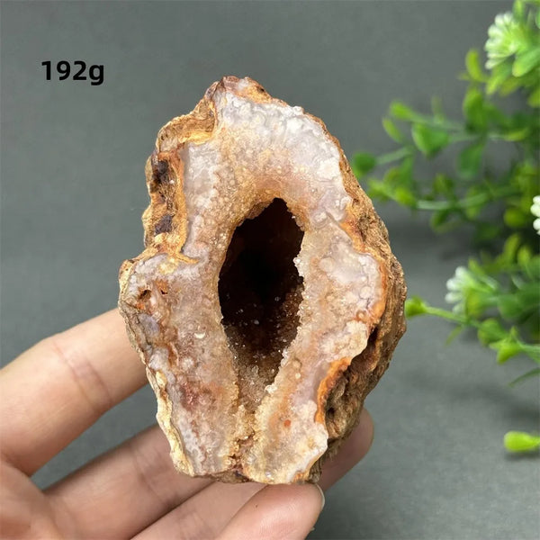 Red Cherry Blossom Agate-ToShay.org