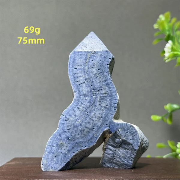 Blue Coral Crystal-ToShay.org