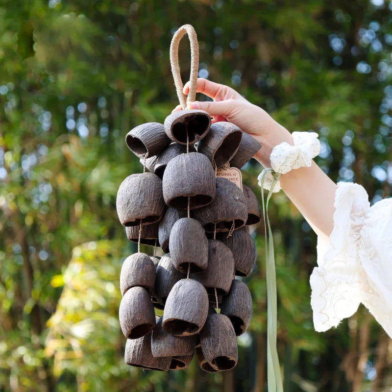 Shell Nut Bell Chimes-ToShay.org
