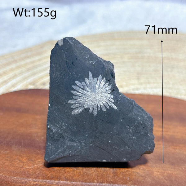 Black Chrysanthemum Raw Stone-ToShay.org