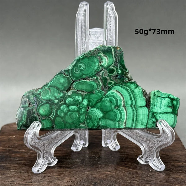 Green Malachite Raw Slice-ToShay.org