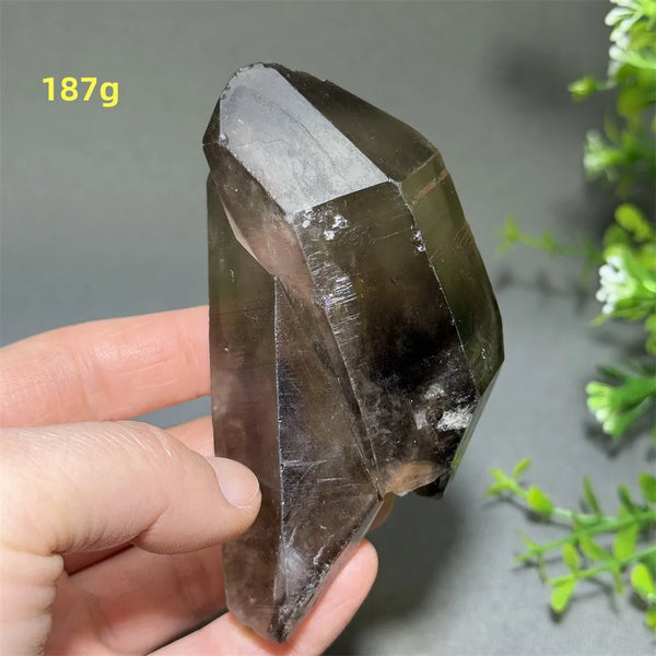 Black Quartz Crystal-ToShay.org
