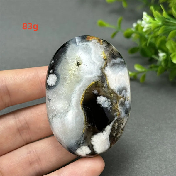 Black Cherry Blossom Agate-ToShay.org