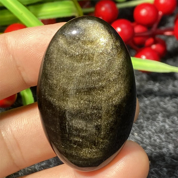 Silver Black Obsidian-ToShay.org
