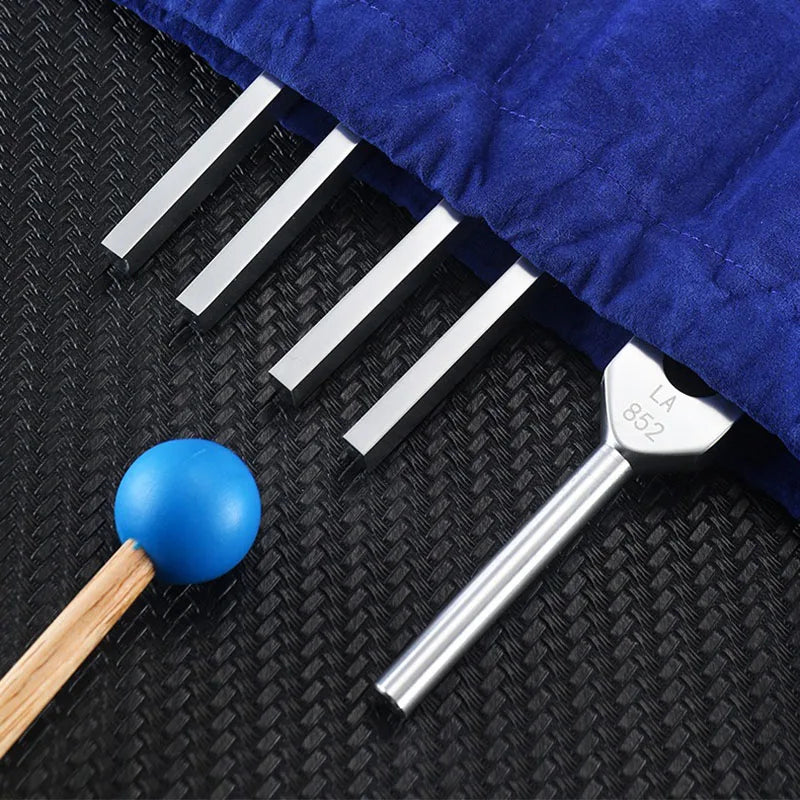 Tuning Forks Set-ToShay.org