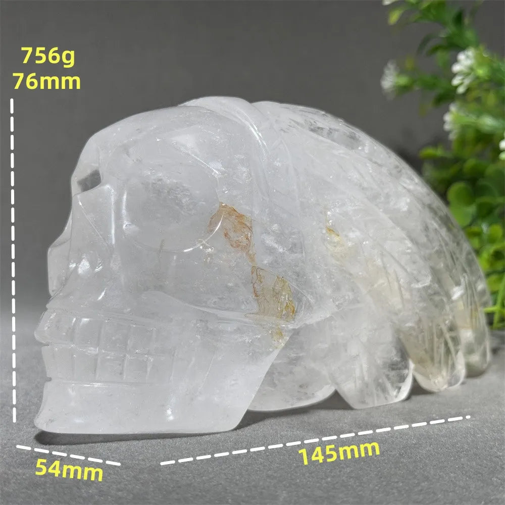 Clear Crystal Feather Skull-ToShay.org