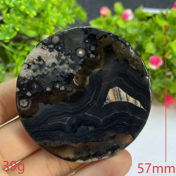 Black Agate Slice-ToShay.org