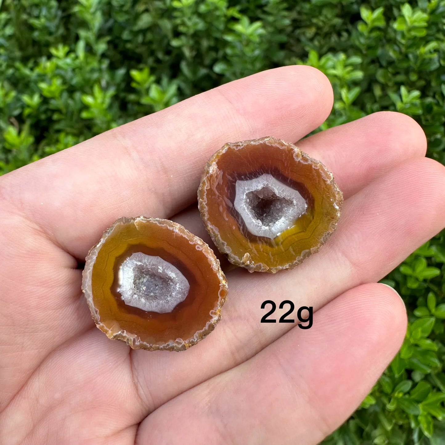 Mixed Agate Crystal Geode-ToShay.org