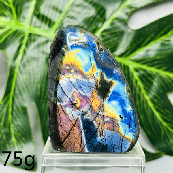 Blue Purple Labradorite-ToShay.org
