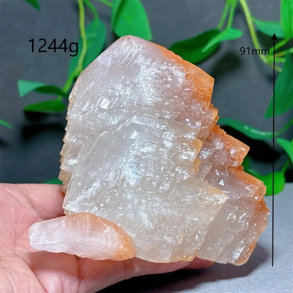 White Melaleuca Calcite Crystal-ToShay.org