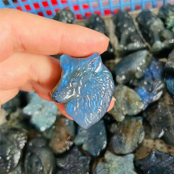 Blue Labradorite Wolf Head-ToShay.org