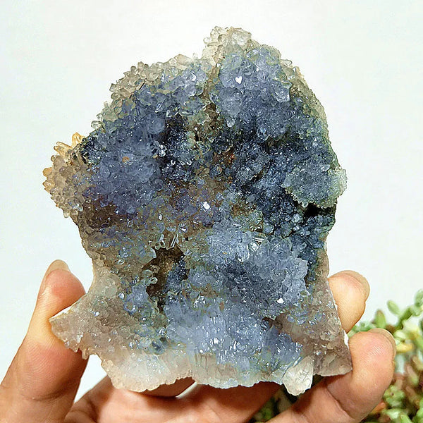 Purple Vision Crystal Cluster-ToShay.org