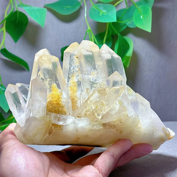 Clear Quartz Crystal Cluster-ToShay.org