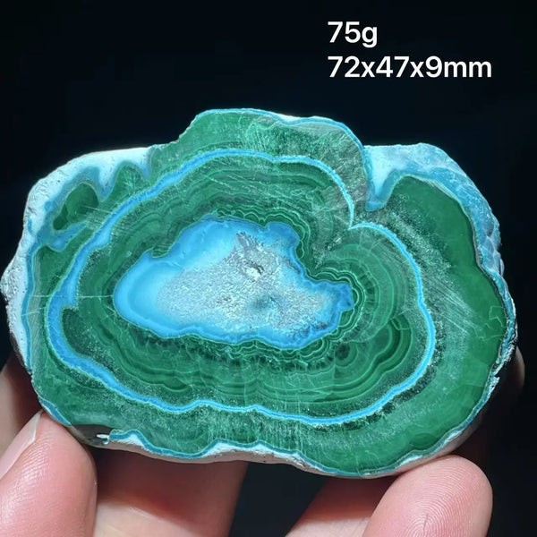 Green Chrysocolla Malachite Slice-ToShay.org