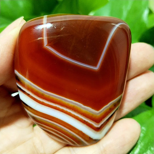 Red Lace Sardonyx Agate-ToShay.org