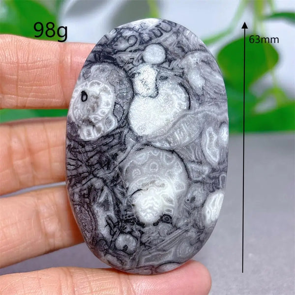Black White Shellstone-ToShay.org