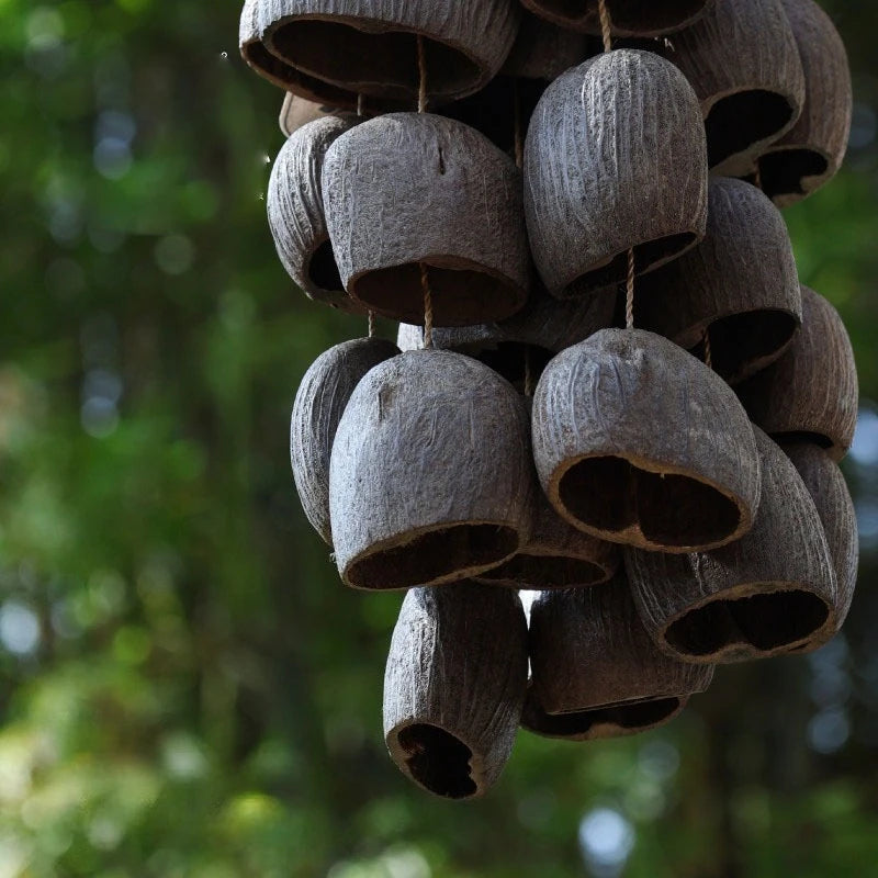 Shell Nut Bell Chimes-ToShay.org