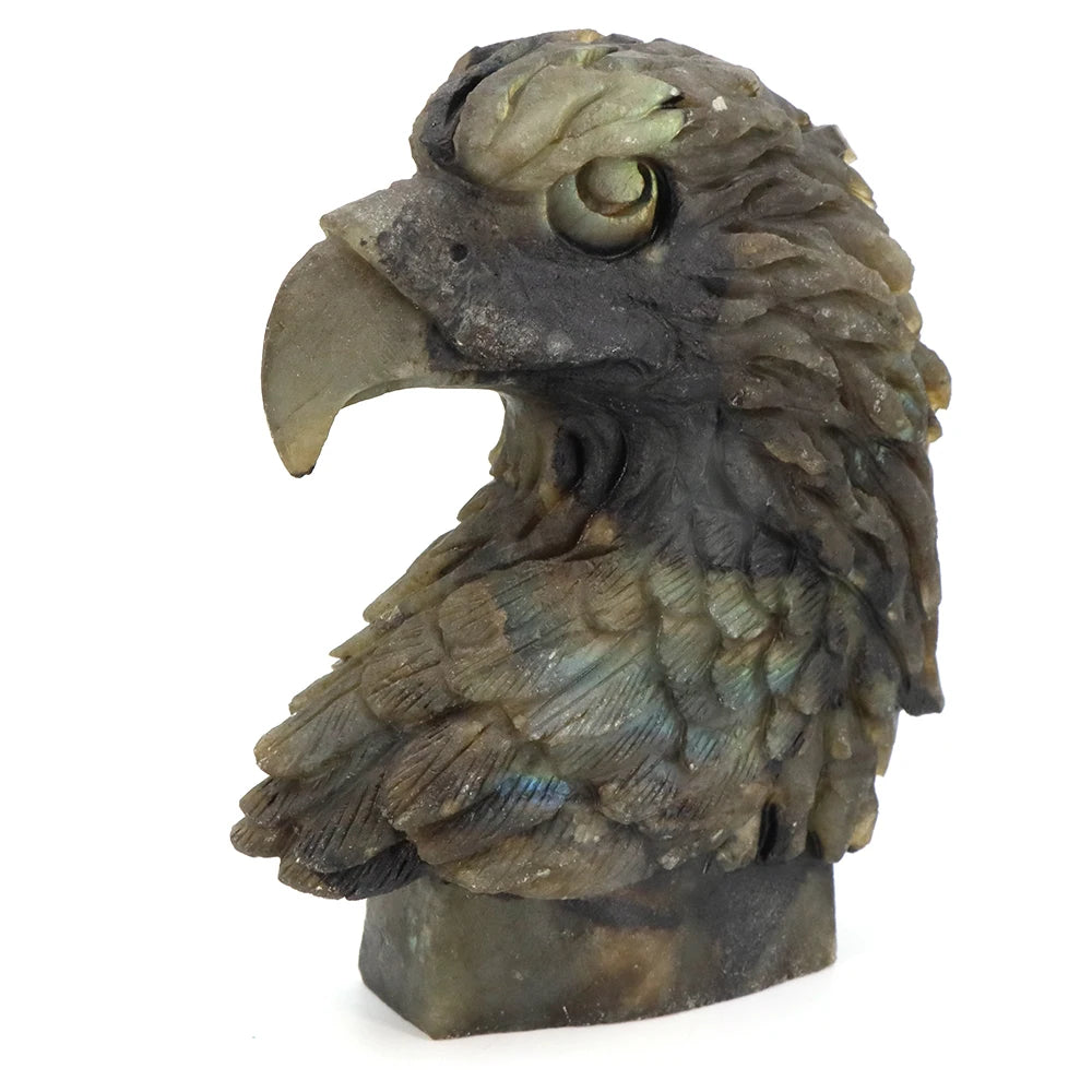 Blue Labradorite Eagle Head-ToShay.org