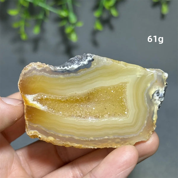 Yellow Agate Slice-ToShay.org