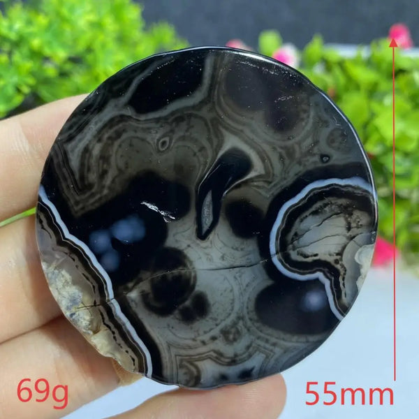 Black Agate Slice-ToShay.org