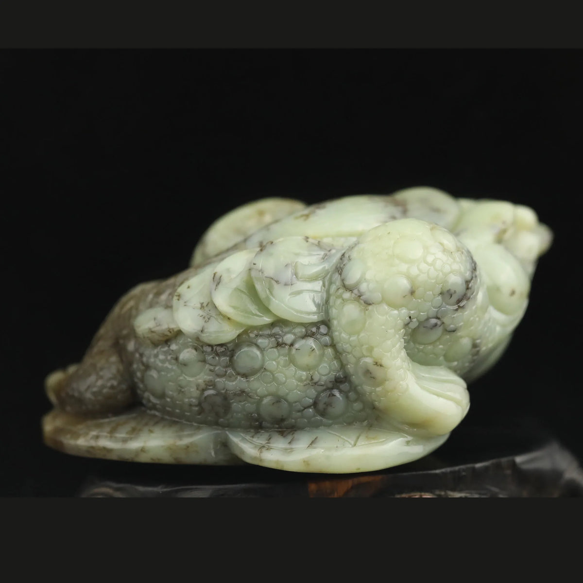 Green Jade Frog-ToShay.org