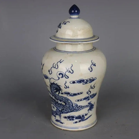 Blue White Dragon Jar-ToShay.org