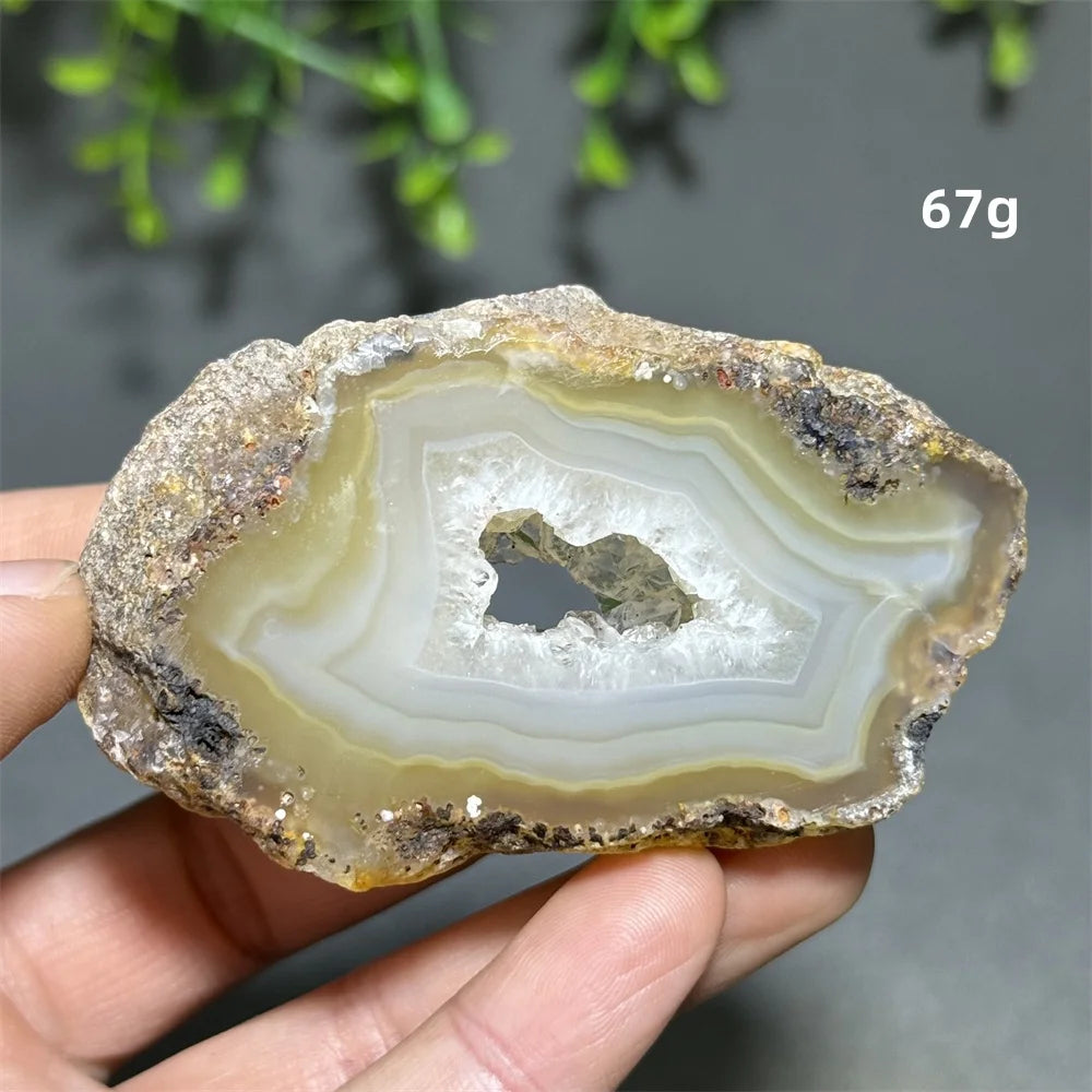 Yellow Agate Slice-ToShay.org