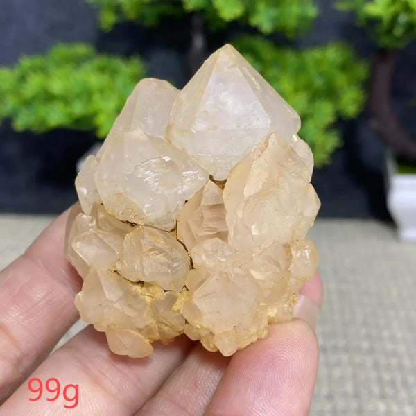White Quartz Crystal Cluster-ToShay.org