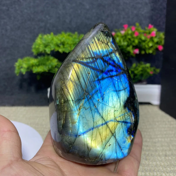 Blue Moonstone Labradorite Stone-ToShay.org