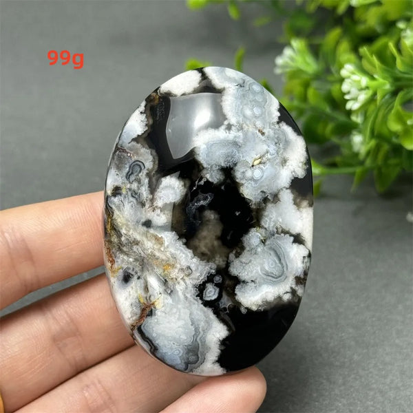 Black Cherry Blossom Agate-ToShay.org
