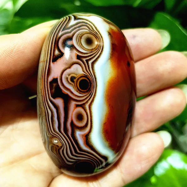 Red Lace Sardonyx Agate-ToShay.org