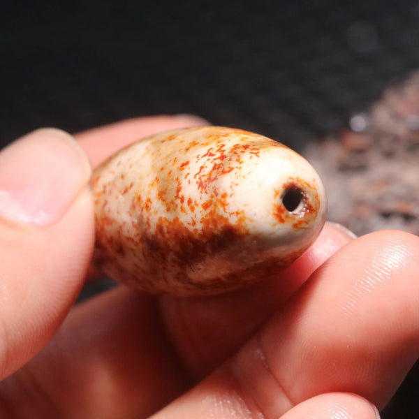 Tibetan Agate Eyes Dzi-ToShay.org
