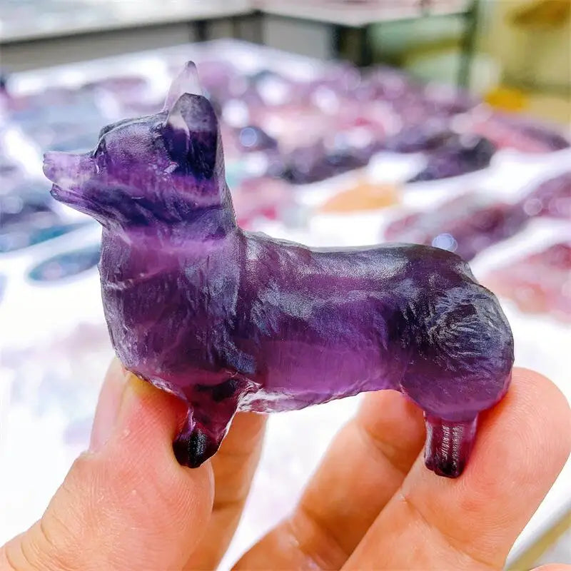 Purple Fluorite Dog-ToShay.org
