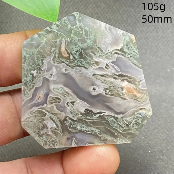 Green Water Plant Agate-ToShay.org