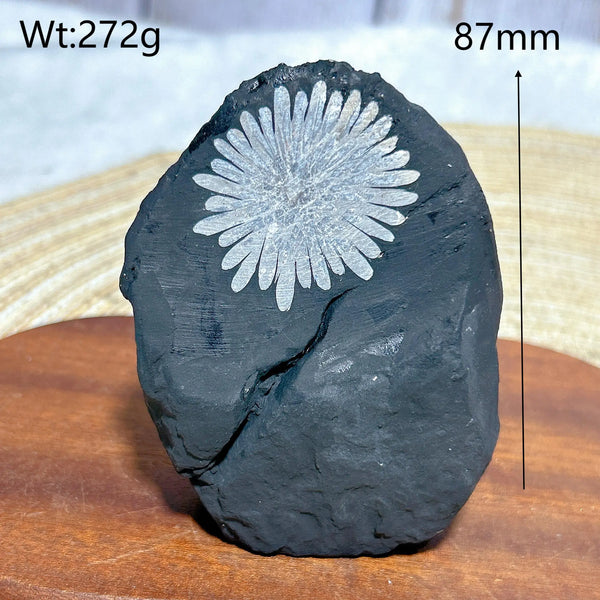 Black Chrysanthemum Raw Stone-ToShay.org