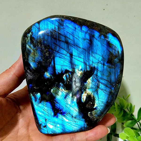 Blue Labradorite Crystal-ToShay.org