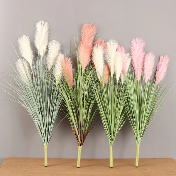 Reed Grass Plants-ToShay.org