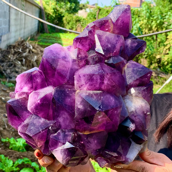 Purple Amethyst Cluster-ToShay.org
