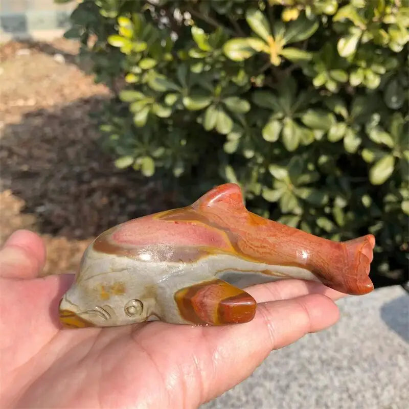 Ocean Jade Dolphin-ToShay.org