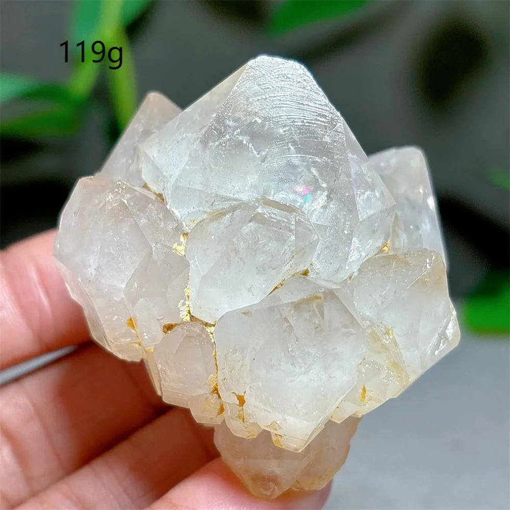 Clear Lotus Backbone Quartz Cluster-ToShay.org