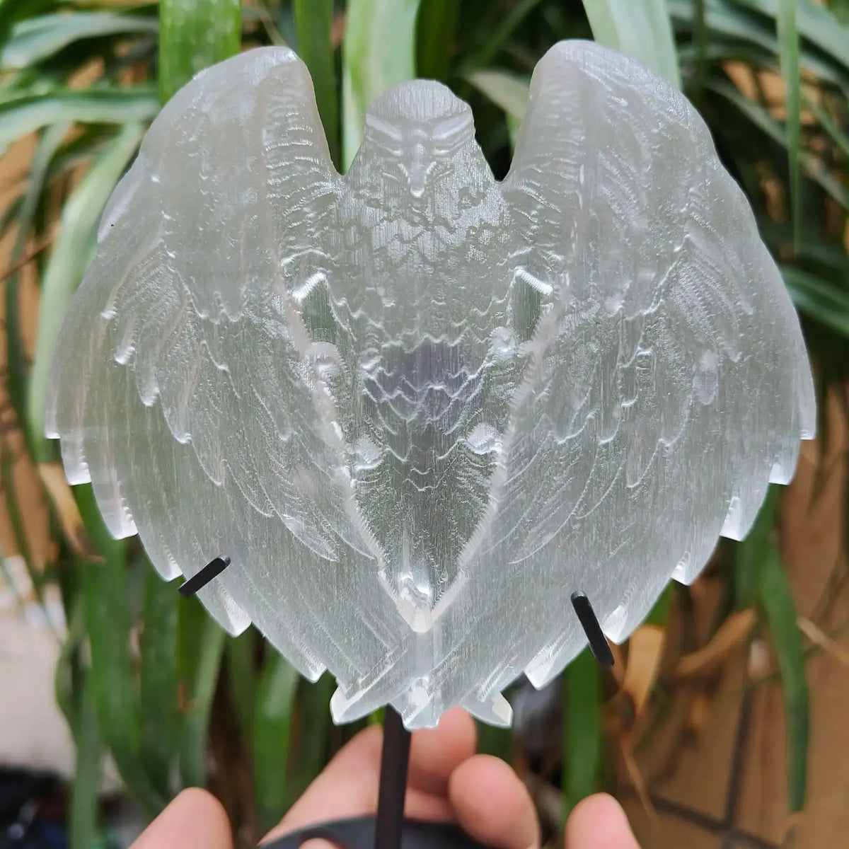White Selenite Eagle-ToShay.org