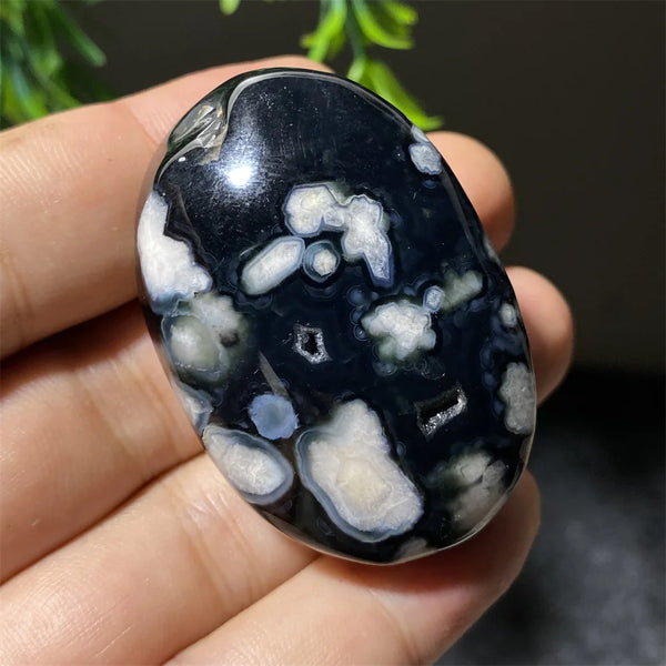 Black Flower Agate-ToShay.org