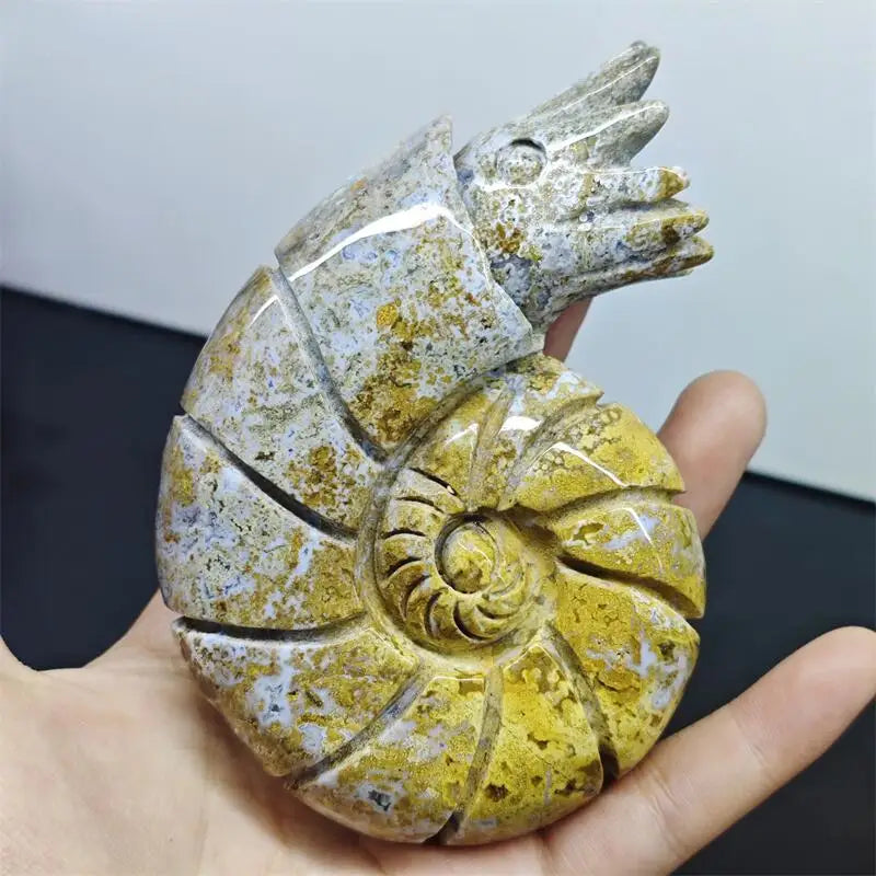 Ocean Jasper Conch-ToShay.org