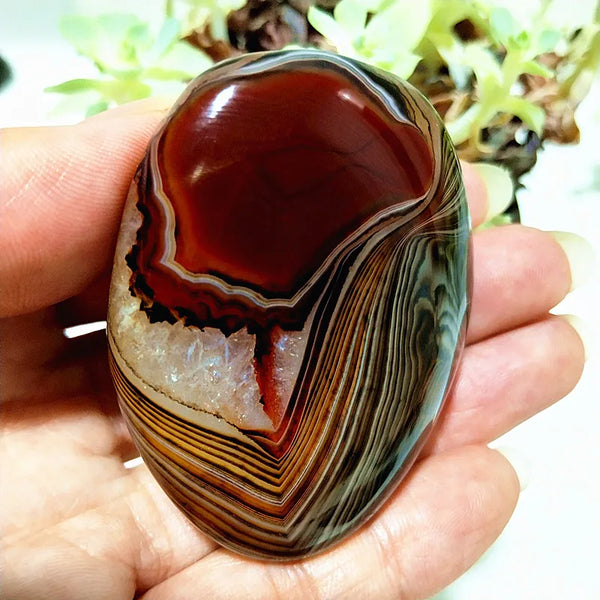 Red Lace Sardonyx Agate-ToShay.org