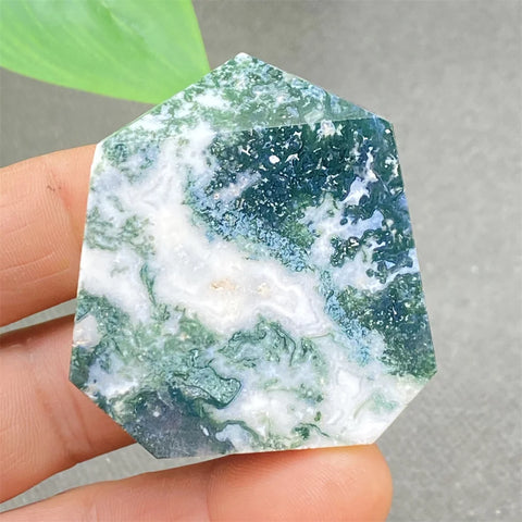 Green Water Plant Agate-ToShay.org